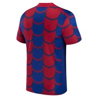 Camiseta FC Barcelona Hombre Azul Pre Partido 23-24